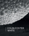 Colin Foster: White