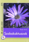 Szobakaktuszok