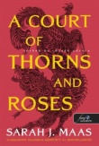 A Court of Thorns and Roses - Tüskék és rózsák udvara