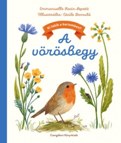 A vörösbegy