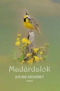 Madárdalok