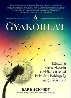 A Gyakorlat