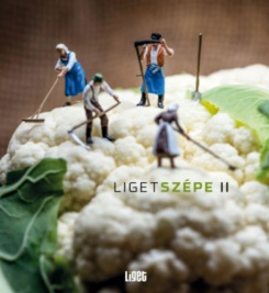 Ligetszépe 2