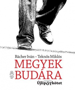 Megyek Budára