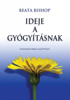 Ideje a gyógyításnak