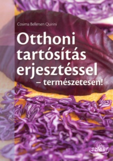 Otthoni tartósítás erjesztéssel
