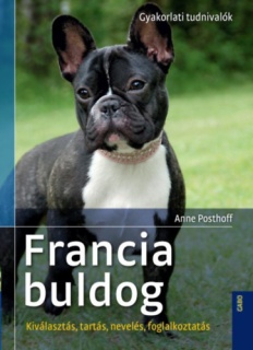 Francia buldog