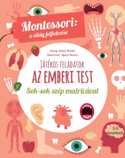 Játékos feladatok - Az emberi test