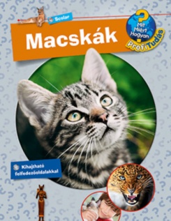 Macskák