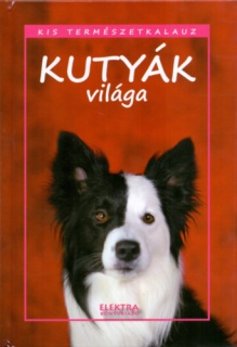 Kutyák világa