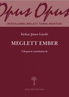 Meglett ember