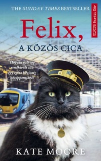 Felix, a közös cica