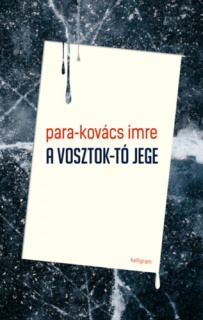 A Vosztok-tó jege