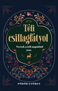 Téli csillagfátyol