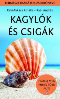 Kagylók és csigák