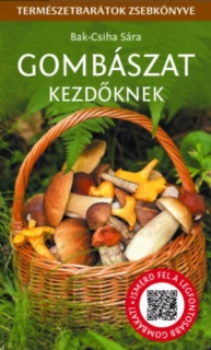 Gombászat kezdőknek