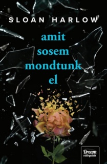 Amit sosem mondtunk el