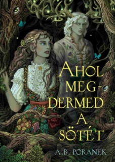 Ahol megdermed a sötét