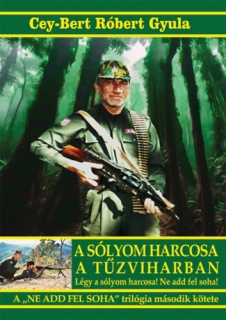 A sólyom harcosa a tűzviharban