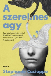 A szerelmes agy
