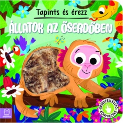 Tapints és érezz - Állatok az őserdőben