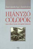 Hiányzó cölöpök