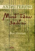 Mint tanu szólni - Bori történet