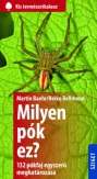 Milyen pók ez?