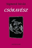 Csókavész