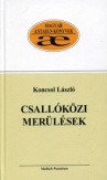 Csallóközi merülések - Tanulmányok, esszék a régió múltjáról II. kötet