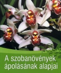 A szobanövények ápolásának alapjai