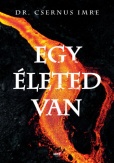 Egy életed van