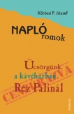 Naplóromok