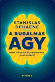 A rugalmas agy