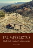 Palimpszesztus