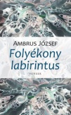 Folyékony labirintus