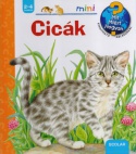 Cicák