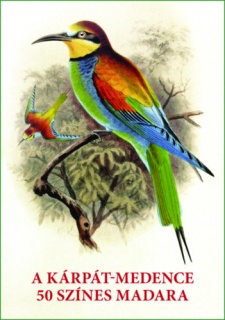 A Kárpát-medence 50 színes madara