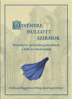 Ösvényre hullott szirmok