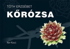 Kőrózsa