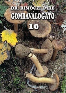 Gombaválogató 10.