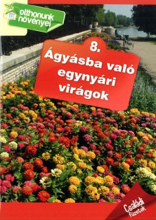 Ágyásba való egynyári virágok - Otthonunk növényei 8.