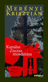 Kanalas Zsuzsa mosdatása