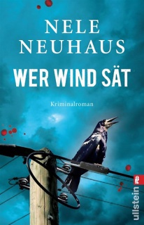 Wer Wind sät