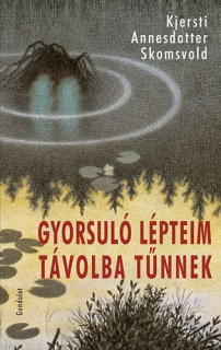 Gyorsuló lépteim távolba tűnnek