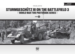 Sturmgeschütz III on the Battlefield 3