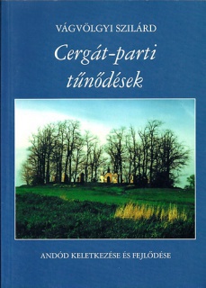 Cergát-parti tűnődések