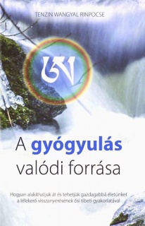 A gyógyulás valódi forrása