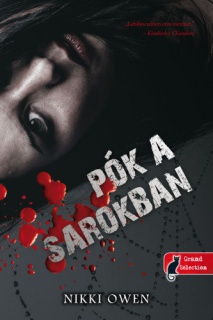 Pók a sarokban