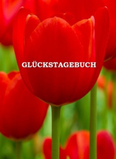 Glückstagebuch - kemény kötés